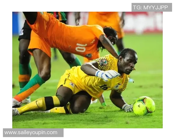 赞比亚足球明星盘点及其在国际赛场上的辉煌成就